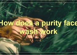 Purity Face Wash: The Complete Guide