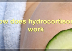 Hydrocortisone For Acne: Everything You Need To Know