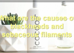 Blackheads Vs. Sebaceous Filaments: Everything You Need To Know