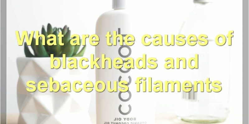 Blackheads Vs. Sebaceous Filaments: Everything You Need To Know