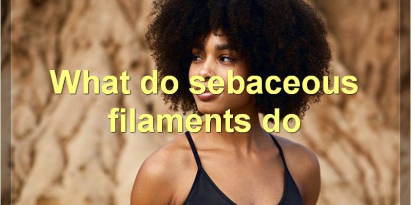 What Are Sebaceous Filaments?